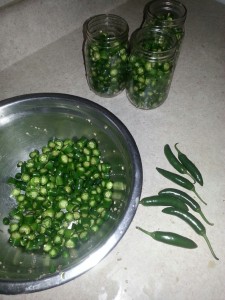 Last week Lovina canned Serrano peppers, which are up to five times hotter than jalapenos! 