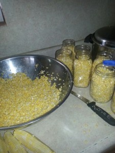 Some of the 41 quarts of corn that Lovina canned and froze last week.