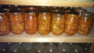 VegSoup
