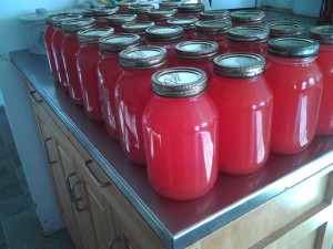 This week Lovina looks ahead to spring by sharing her recipe for rhubarb juice.