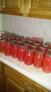 The Eicher family canned 45 quarts of rhubarb juice one day last week.