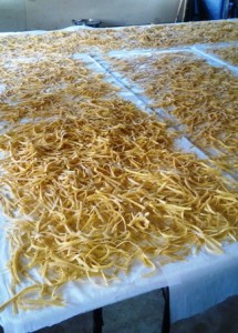 NoodlesDrying