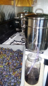 GrapeJuiceMaking