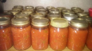 This week Lovina shares a recipe for homemade salsa. Her recipe makes 15 pints of canned salsa.