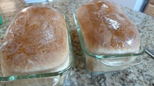 OatmealBread2Loaves