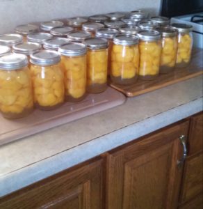 Lovina and her daughters canned two bushels of peaches last week.