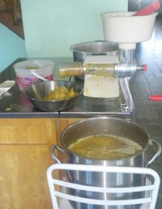 applesaucemaking2016