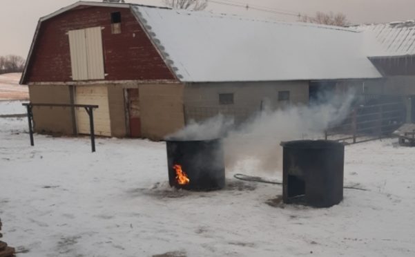 Winter butchering means hard work, a full house, and family fun