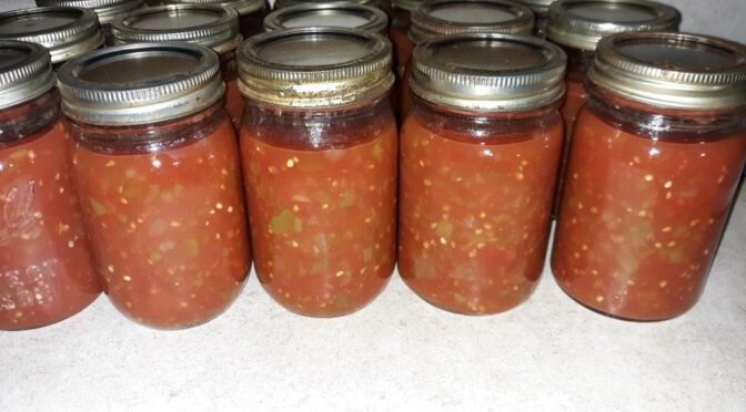 Chunky Canned Salsa - Dish 'n' the Kitchen