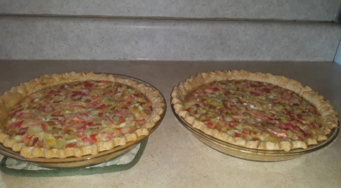 Birthdays and Rhubarb Custard Pie