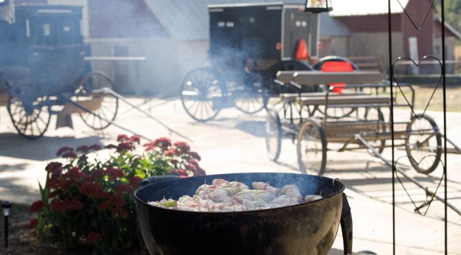 A fun day out for Amish garage sales