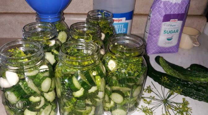 Meals from Thoughtful Church Families Help the Eichers in a Busy Time