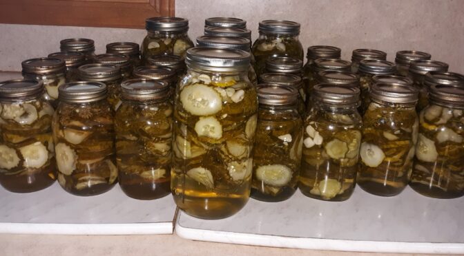 August is time for cultivating cucumbers, time with family